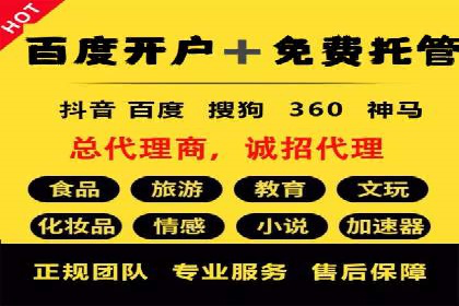 SEM外包服务优势案例分析